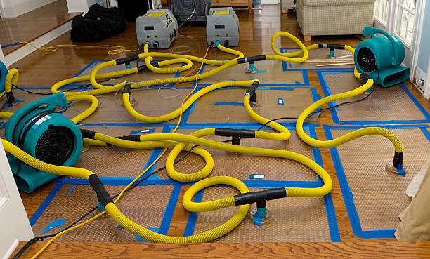 Professional Flood Damage Restoration technician working in Mohegan Lake, NY
